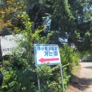 포도다방 | 과천 맛집들 후기: 대공원 포도밭 오리주물럭, 청년다방