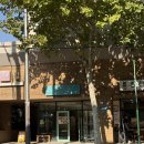 씨유(CU)평택합정점 | 우리동네 두바이 쫀득쿠키 vs Cu 카다이프초코 쫀득찹쌀떡 (합정 프레드앤샐리)