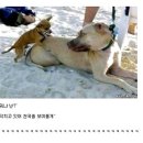 그래 거기 이미지