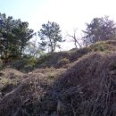 유수암보건진료소 이미지