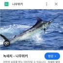 젤존 | 젤존 감 염색약 - 새치염색후기