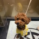 경산동물병원 이미지