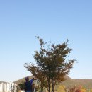 삼원조경 이미지