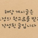 강남 요미독앤캣 강아지 분양 고양이 분양 이미지