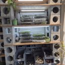 (원데이) 나만의 작은 숲, 테라리움 | 내 작은 숲 만들기 성공! 데라스튜디오 광주테라리움 원데이클래스 후기