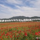 야생화단지 이미지