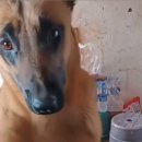 대정동 | 대전 유성구 대정동 입주청소 후기