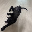 하나로마트 일죽농협본점 | 2025.01