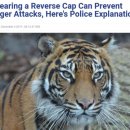 남수농장 이미지