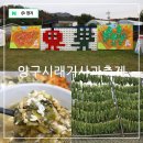 해안면힐링하우스 | 국내 가을 여행지 추천 양구 가볼만한곳 청춘양구 펀치볼 시래기사과축제