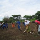 전교농장 이미지