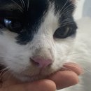 율곡동물병원 이미지