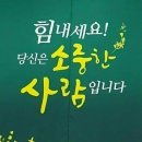 여우늘 이미지