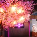 도쿄술집 평택역점 | 행복했던 평택역 회식장소 도쿄술집 방문 후기