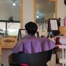 명태의놀이찾기