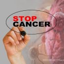 위암·간암·대장암 검사 급여기준 확대 및 조기치료 강화 이미지