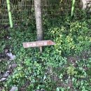 힐나인골프장 이미지