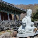 존자암지 이미지