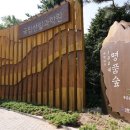 홍릉 Daum카페