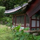 충화 세양사 티스토리
