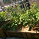 금천구 시흥2동 주민센터 이미지