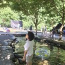 다리안캠핑장 | 다리안캠핑장 2박 휴가보내기