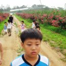 사슴이랑 배랑 농원 이미지