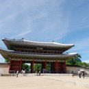 뮤직프라자 이미지