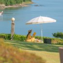 스테이인 태안 이미지