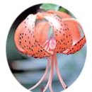 이주호농장 이미지