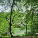솔과황토 | 대전 계족산 황톳길 후기｜6세 아이와 맨발걷기, 장동산림욕장 황토 가족여행 코스