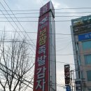 꽃돼지