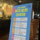 제8회 아세안축제 | 2025년 제8회 제주광어축제 다녀온 후기 (일정,장소 등)