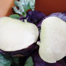 홍이농장 이미지