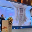 더하이난 이미지