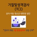 더(the)조은정신건강의학과의원 | [TCI검사] 기질·성격 검사ㅣ(2P + 6P) 온라인 심리검사ㅣ해석 보고서 포함ㅣ1급 임상심리사