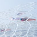 WATERSCAPE 이미지