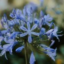 넘치는