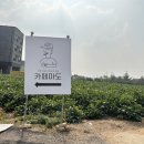 카페마도 이미지