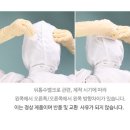 무진카센타 이미지