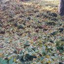 아차산로 이미지