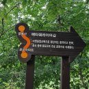 대전둘레산길(7구간) 이미지