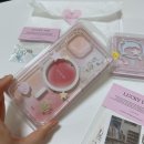 lucky dip | 아이폰 맥세이프 카드지갑 케이스 &#39;럭키딥 돌핀 맥세이프&#39; 악세사리 세트 리뷰