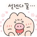 단월녹두반계탕