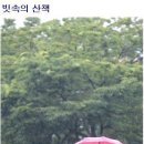 오늘필요한거