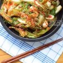 얼갈이 겉절이 양념 레시피 얼갈이배추 김치 담그는법 단배추 겉절이 만들기 이미지