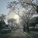 계룡그린콘도 이미지