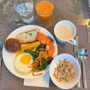 골드팜 | 웰니스컬리지 15기 | 오프라인 교육 Day 2 후기 | 애니포레 | 가문비숲 | 걷기 명상 | 사운드 배스