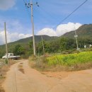 진산목장 이미지