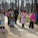 숲 걷기 명상 이미지